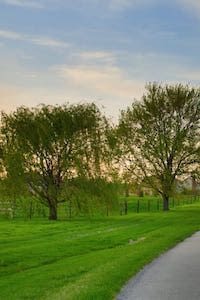 Linton Insurance Agency