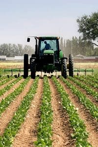 Insurance Agent Turlock, California