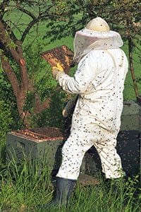 Insurance Agent Turlock, California