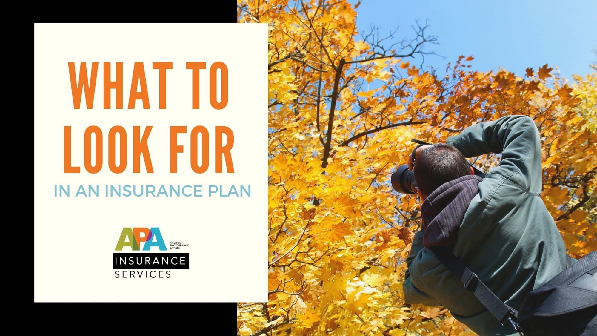 APA Blog Post-2