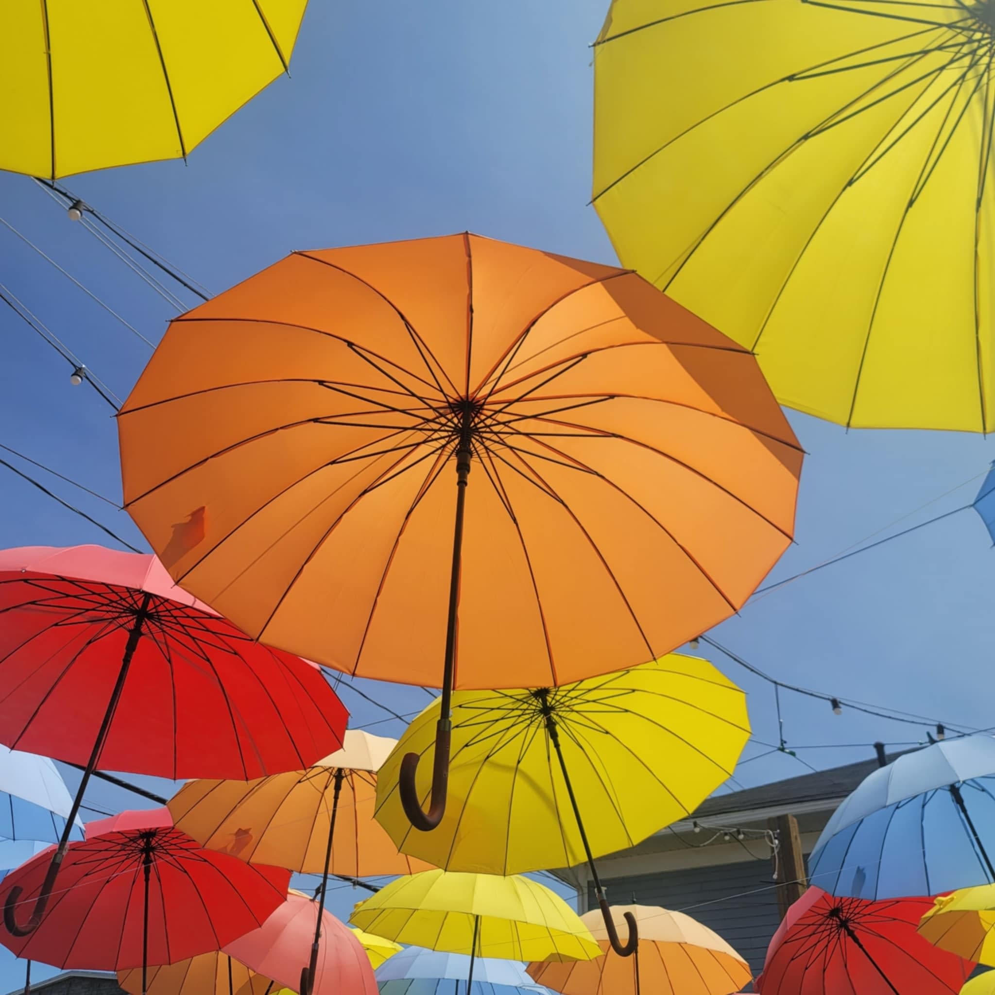 Umbrellas in Madawaska