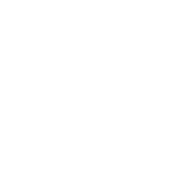 auto-icon