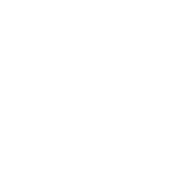 business-icon
