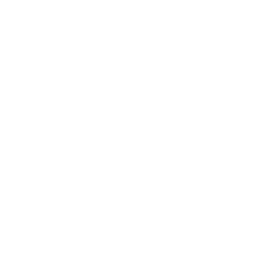life-icon