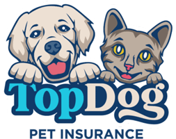 Learn more about Next Level Insurance Group and Top Dog Pet Insurance Top Dog Pet Insurance Logo