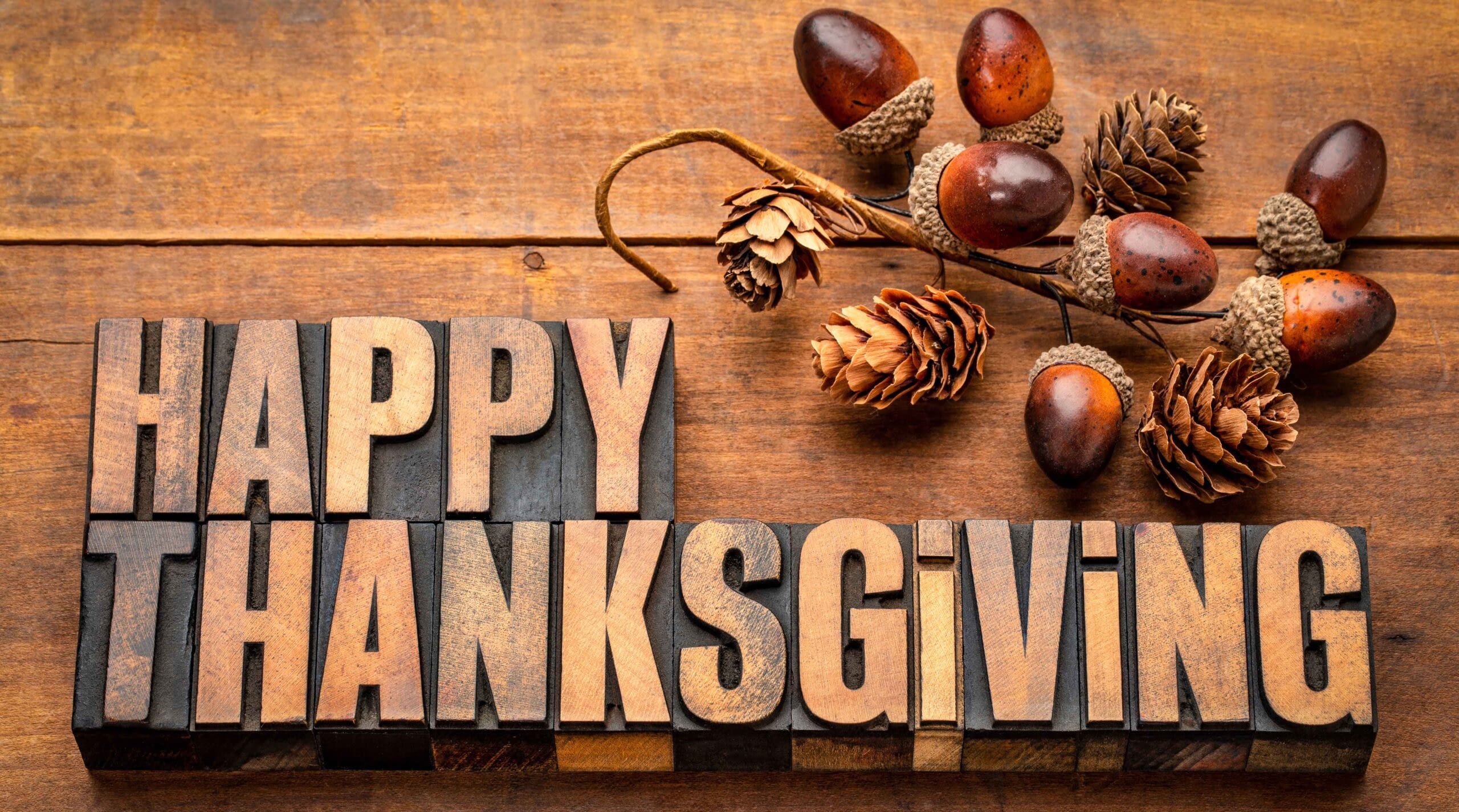 How to Protect Your Home and Family During Thanksgiving How to Protect Your Home and Family During Thanksgiving