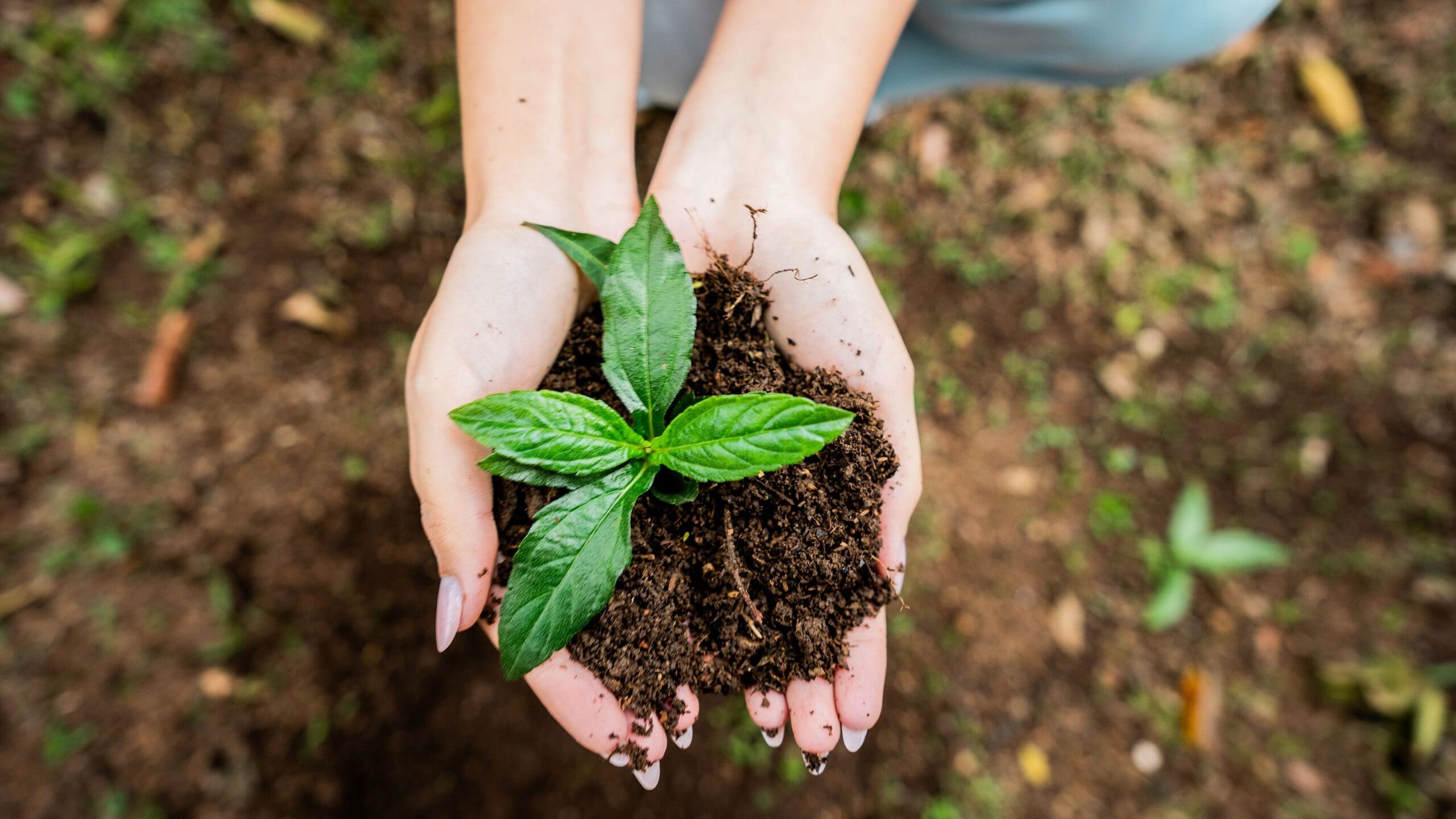 environmental-insurance-l