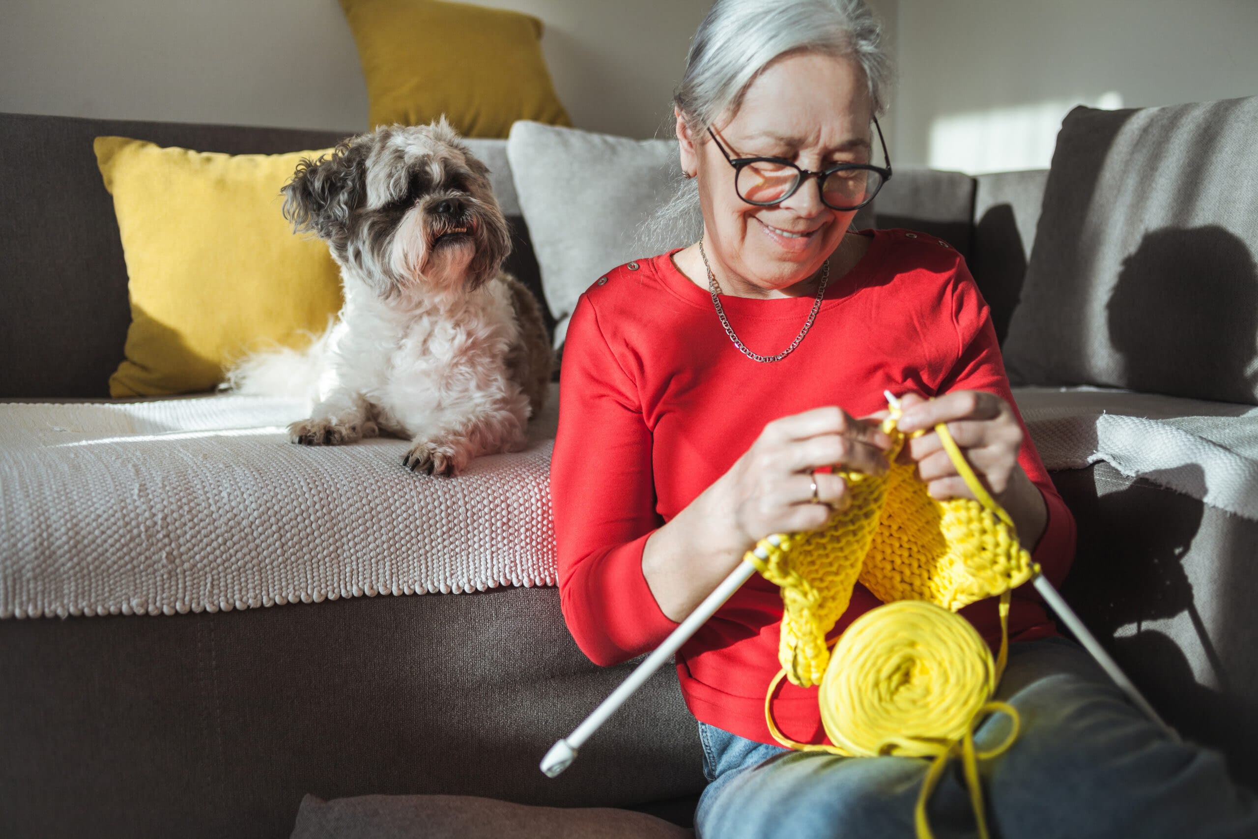 Close up of Senior woman knits at home with her dog
