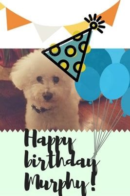 DeBerry --  Murphy's birthday blog photo