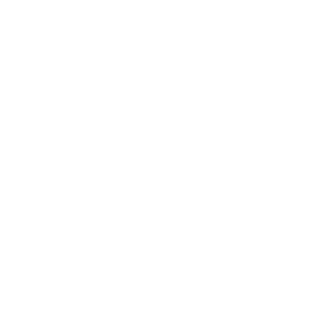 trusted choice logo