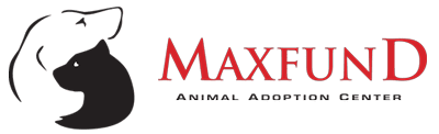 Max Fund Animal Shelter