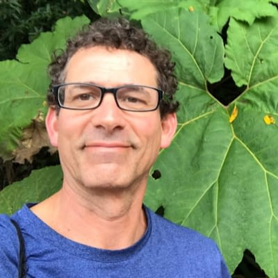Mark Niedelson