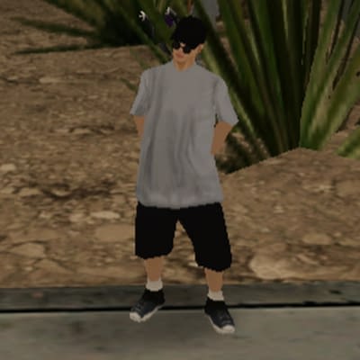 Wilmer Jhosue Goyo Lopez