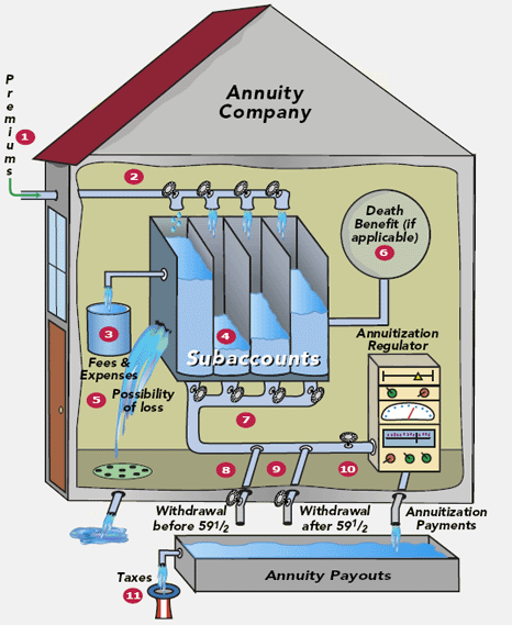 Variable Annuity
