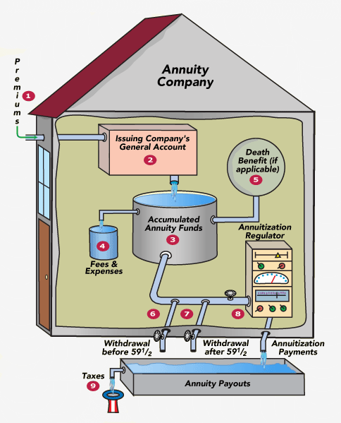 Fixed Deferred Annuity