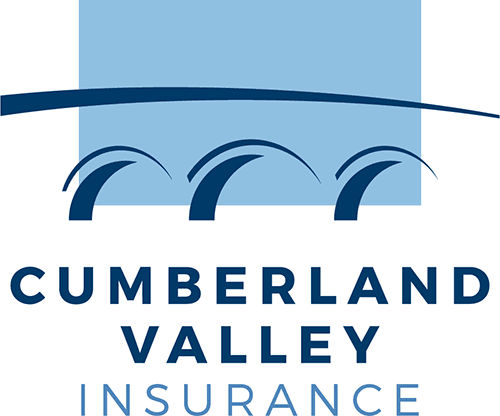 CVI-Logo