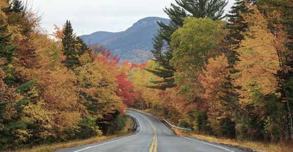 Road_lined_with_autum_trees_575x300 Road Lined With Autumn Trees