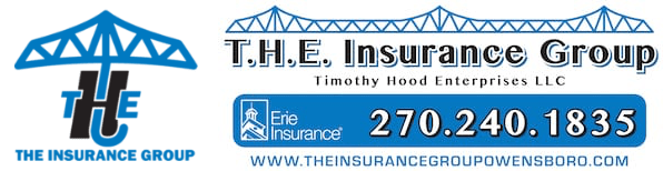 T.H.E. Insurance Group dual logo