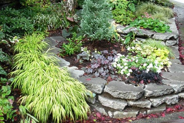 fall-garden.jpg