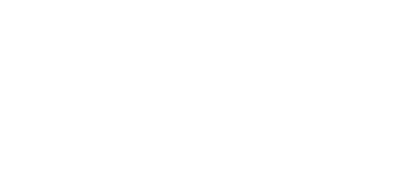 Trusted Choice Logo