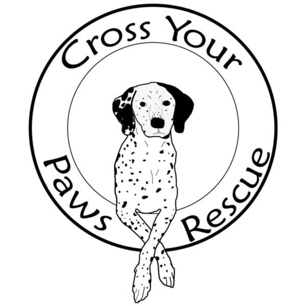 Cross Your Paws Rescue Cross Your Paws Rescue