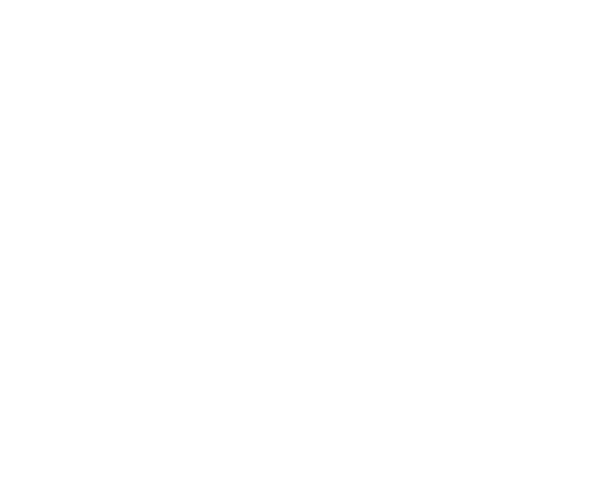 DSA Logo