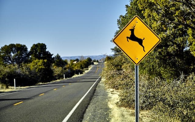 gettyimages-469517998