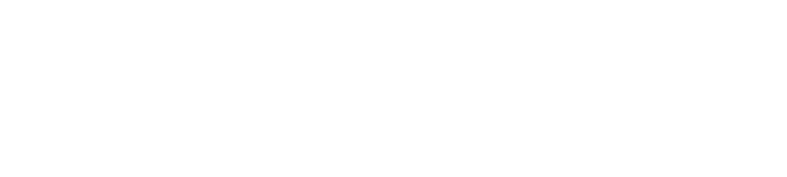Fleming Insurance Services logo