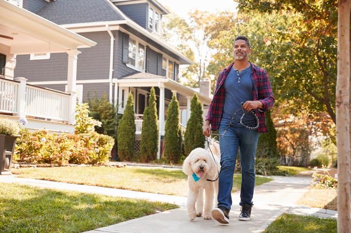 Man Walking Dog Along Suburban Street Man Walking Dog Along Suburban Street