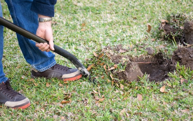 811: The Number to Call Before Digging