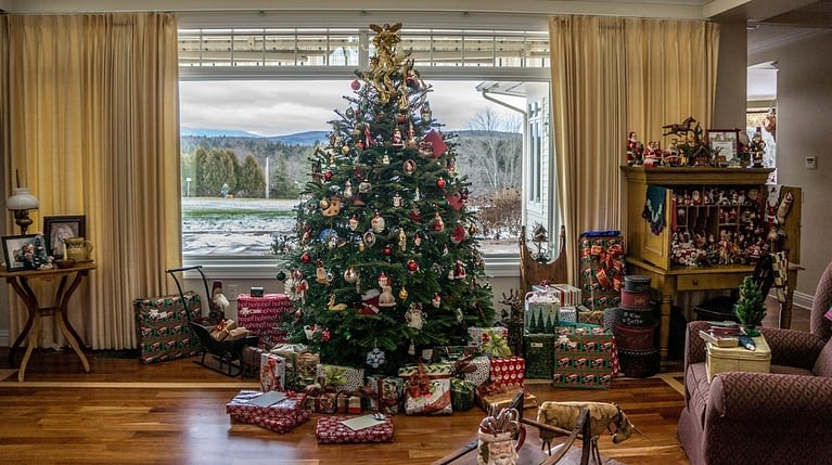 Christmas Tree Safety