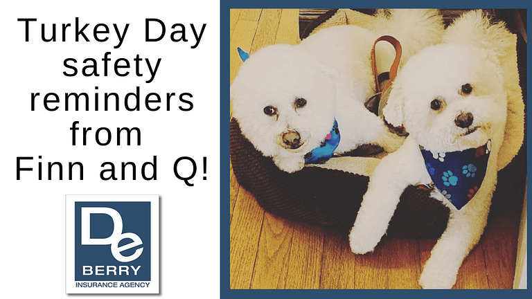 Turkey Day Safety reminders from Finn and Q