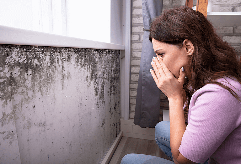 How to deal with mold in your home