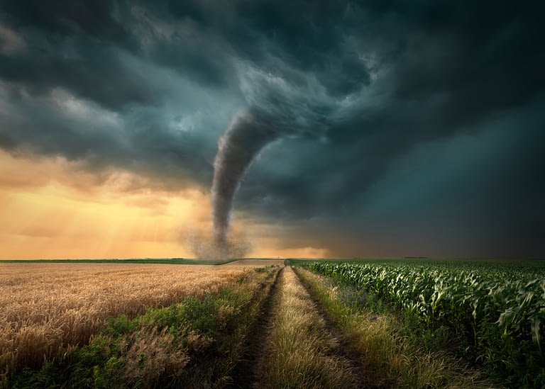 Storm Response