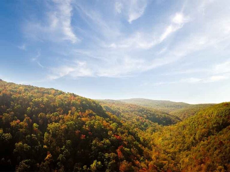 Take a motorcycle ride out of the city and into nature at the Ozark National Forest