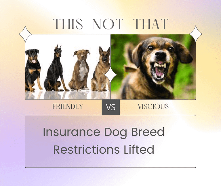 Have A Dog Breed That's Prohibited By Insurance Companies? Not Anymore!