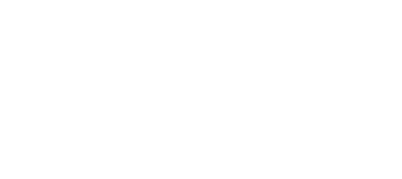 BlueChip NC Logo White