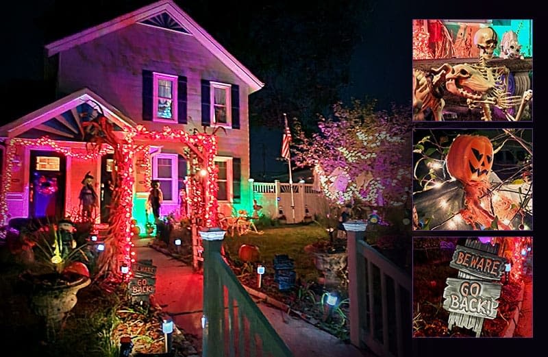 The House with Good bones