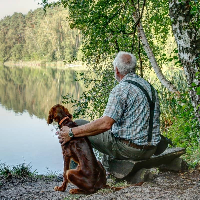 Senior man with his loyal dog sitting and looking out to a large lake