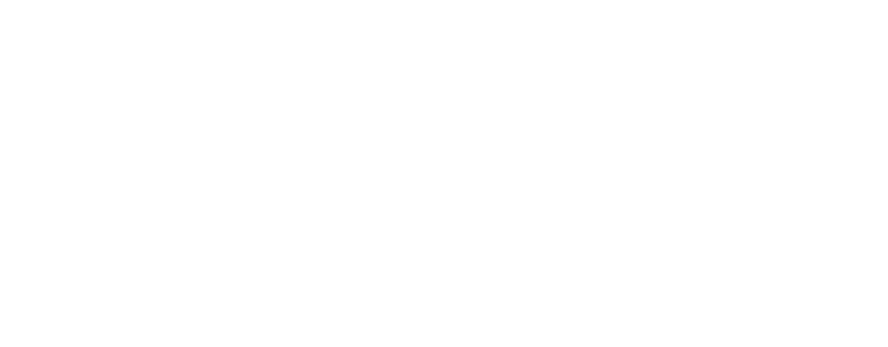 Trusted Choice Inline logo white