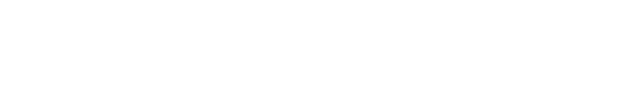 The Lowa Group