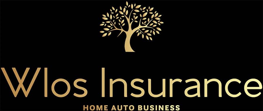 WLOS Insurance Logo
