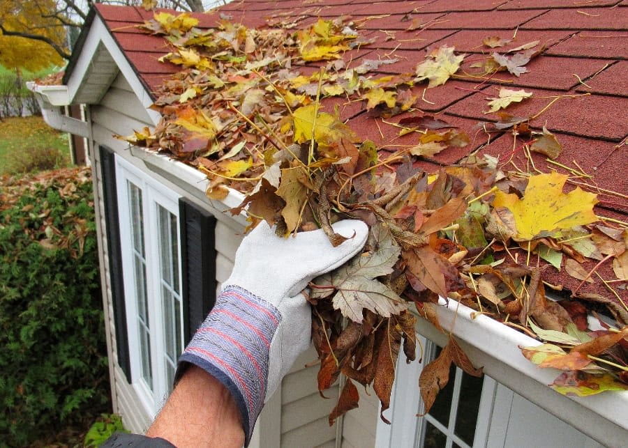 A person picking fall leaves out of house gutter
