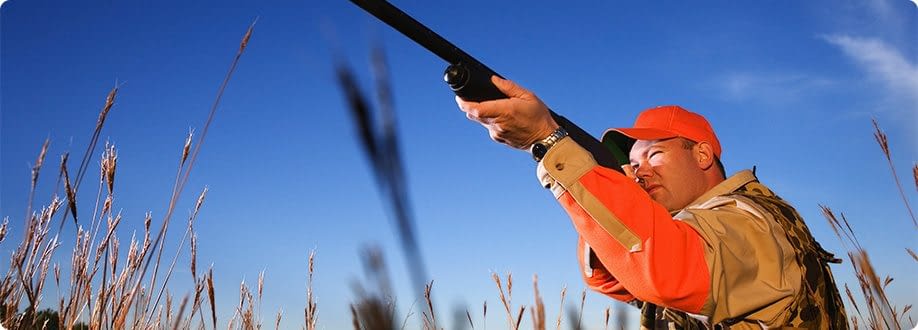 hunter-in-field-header