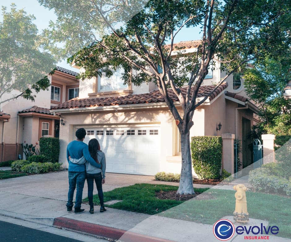 Home Owners Dream House