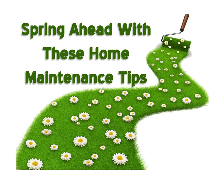 spring maitenance tips