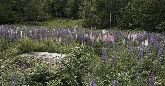 A motorcycle ride in New Hampshire takes you to a place that was once little more than two dead-end roads