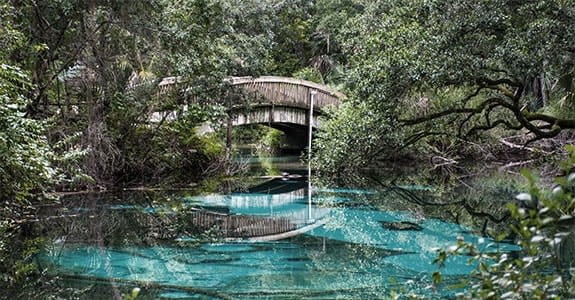 Ride Florida’s Ocala National Forest motorcycle route