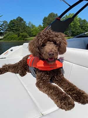 finn-summer-2020 finn-summer-2020
