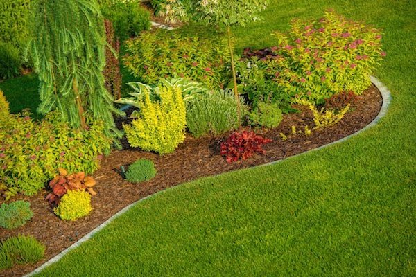 Does Homeowners Insurance Cover Landscaping?
